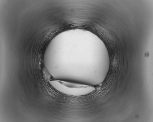 X0000098080868200805021019