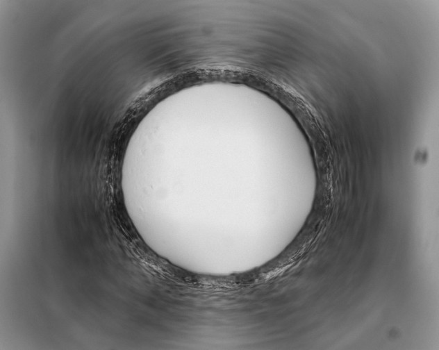 X0000098080870200805021019