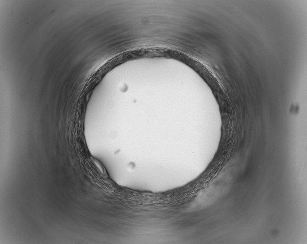 X0000098080871200805021019