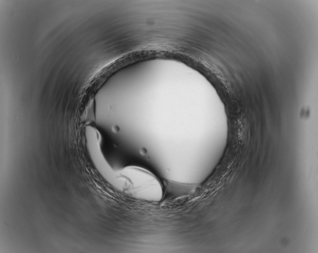 X0000098080872200805021019