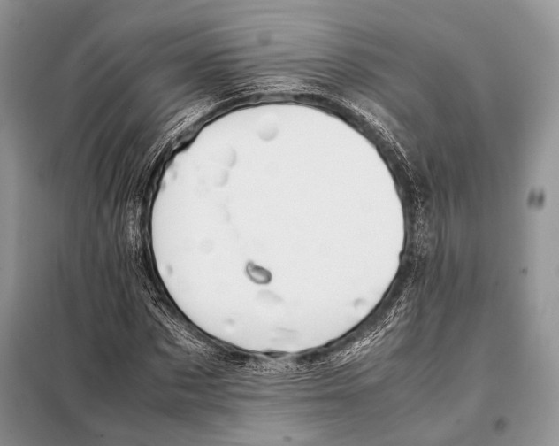 X0000098080873200805021019