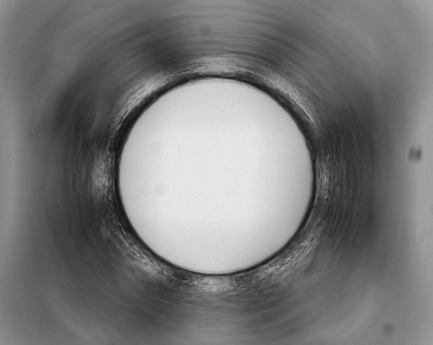 X0000098080874200805021019