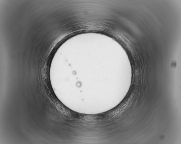 X0000098080875200805021019
