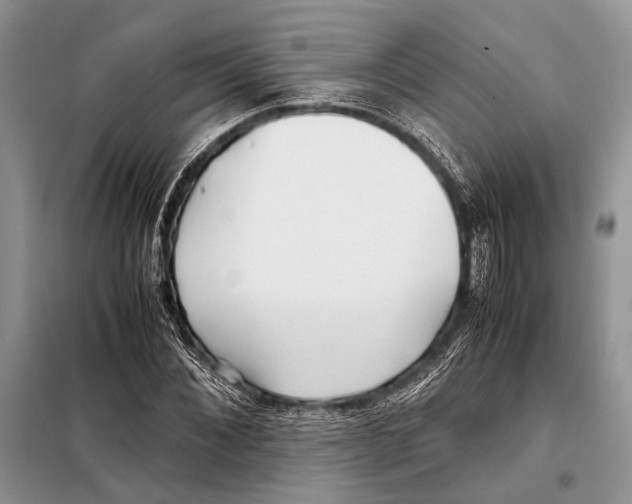 X0000098080876200805021019