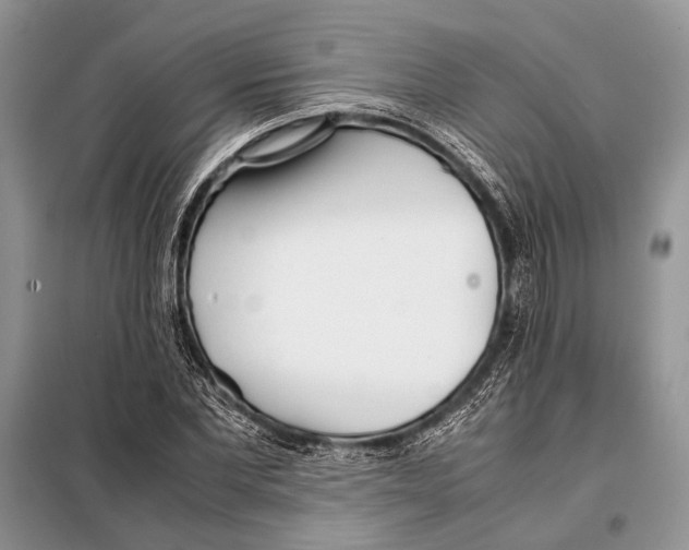 X0000098080877200805021019