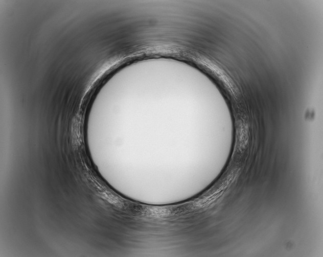 X0000098080878200805021019