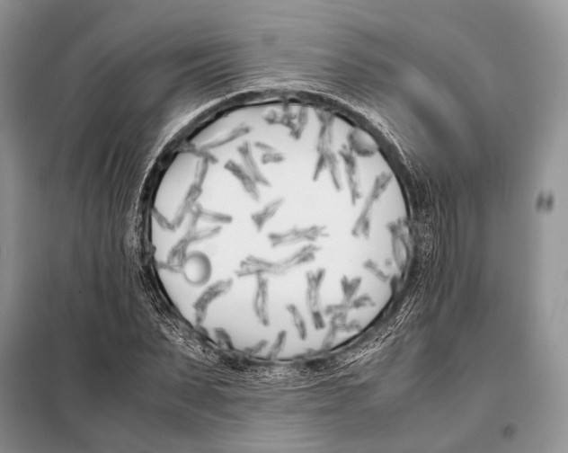 X0000098080879200805021019