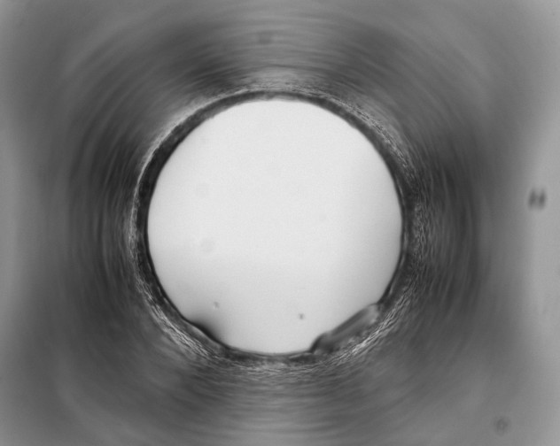 X0000098080880200805021019