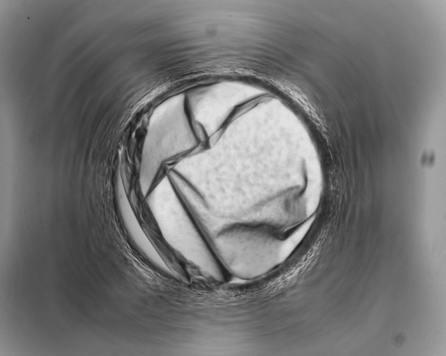 X0000098080881200805021019