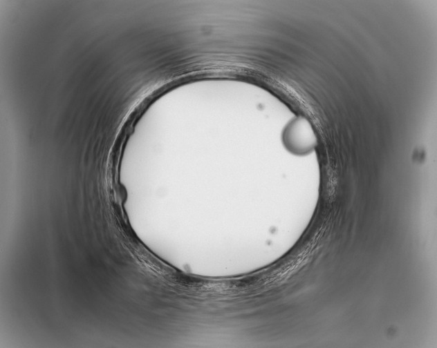 X0000098080883200805021019