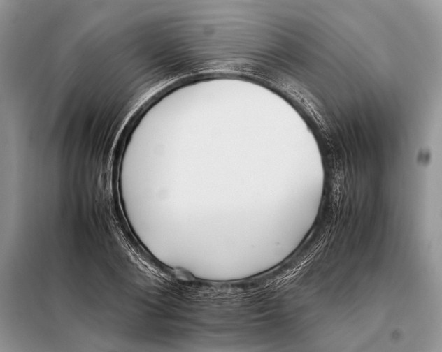 X0000098080884200805021019