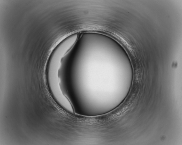 X0000098080885200805021019