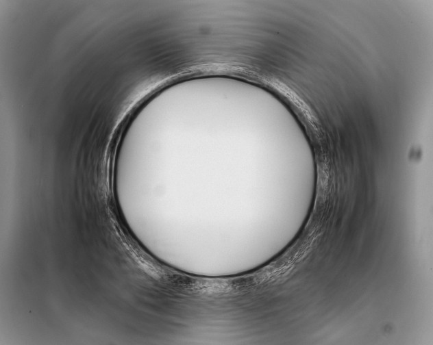 X0000098080886200805021019