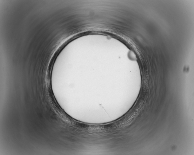 X0000098080887200805021019