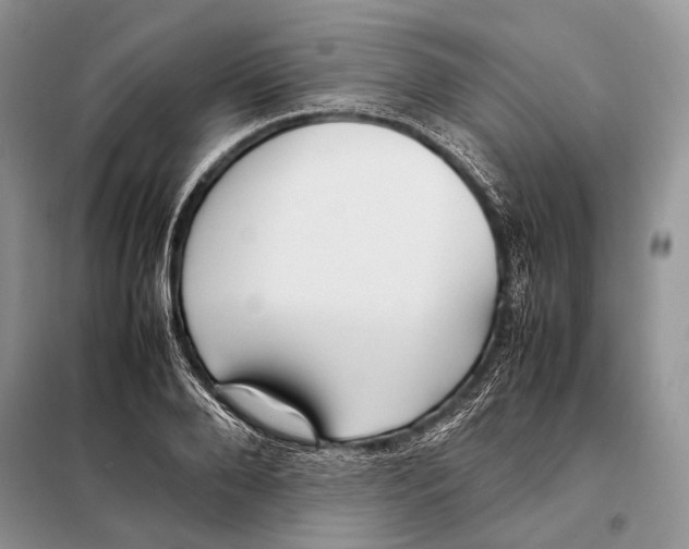 X0000098080888200805021019