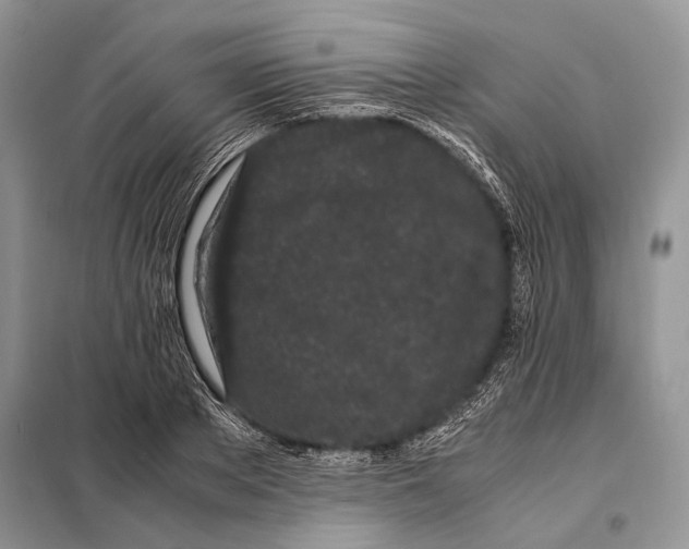 X0000098080889200805021019