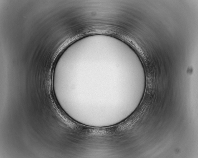X0000098080890200805021019