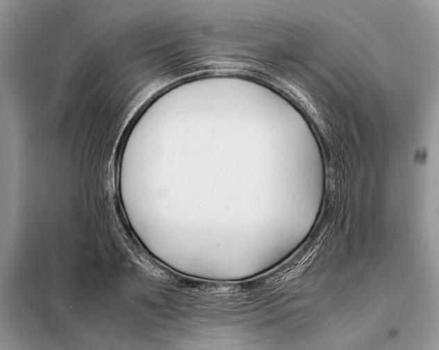 X0000098080891200805021019