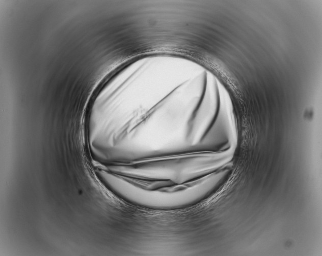 X0000098080892200805021019