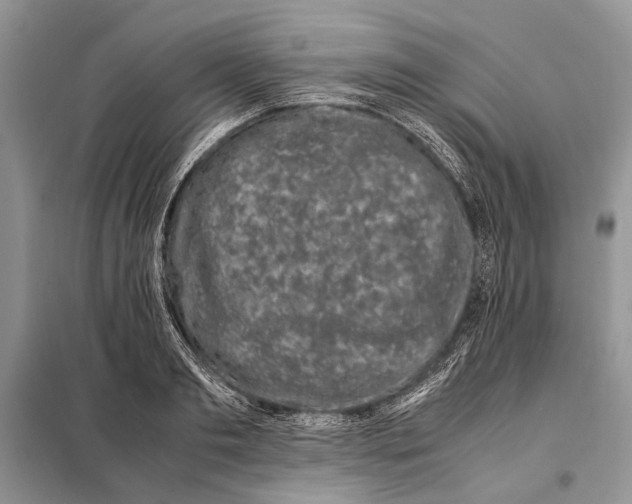 X0000098080893200805021019