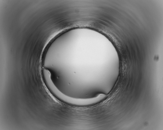 X0000098080894200805021019