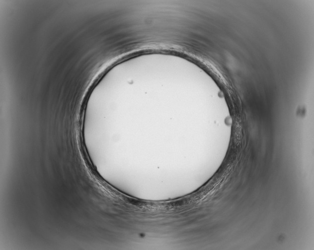X0000098080895200805021019