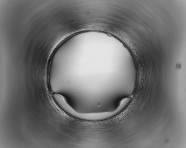 X0000098080896200805021019