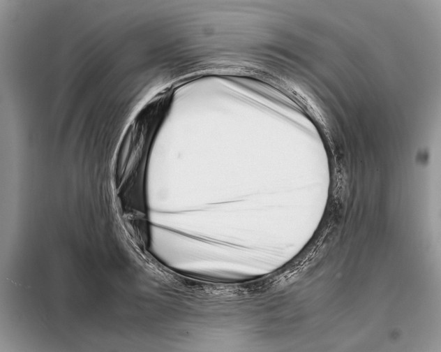 X0000098080899200805021019