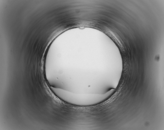 X0000098080900200805021019
