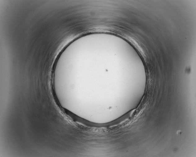 X0000098080901200805021019