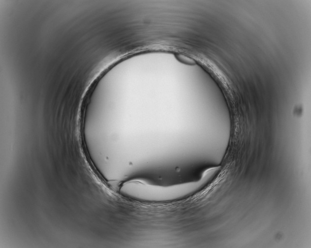 X0000098080902200805021019