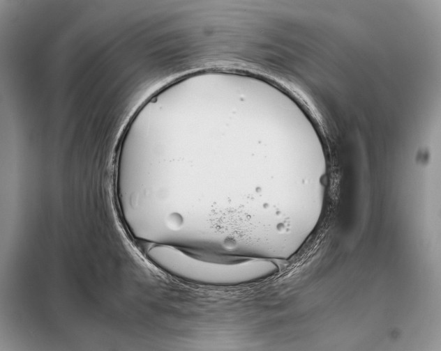X0000098080903200805021019
