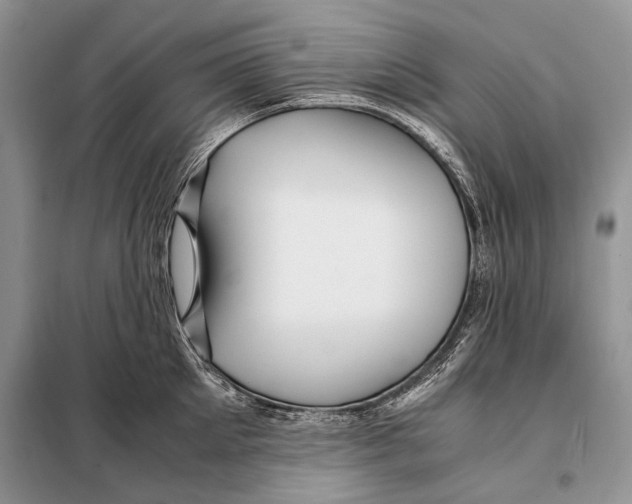 X0000098080905200805021019