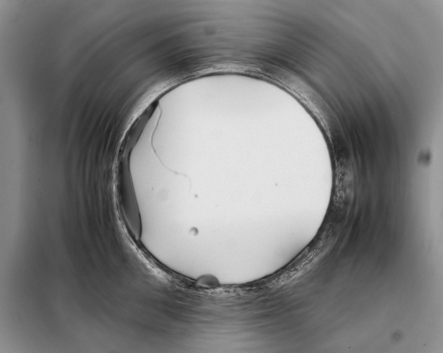 X0000098080906200805021019