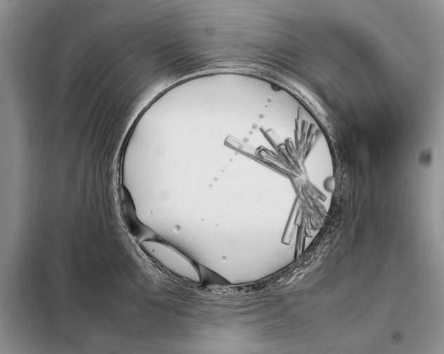 X0000098080907200805021019