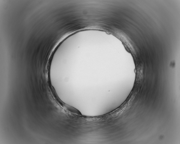 X0000098080908200805021019