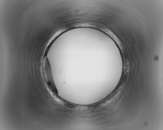 X0000098080909200805021019
