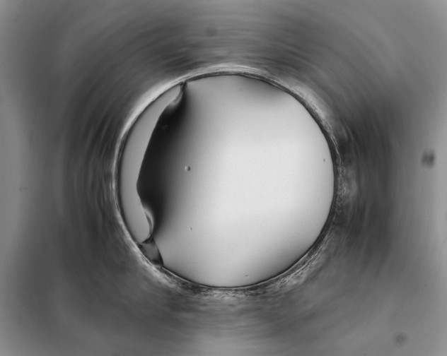 X0000098080910200805021019