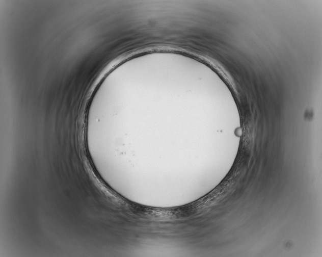 X0000098080911200805021019