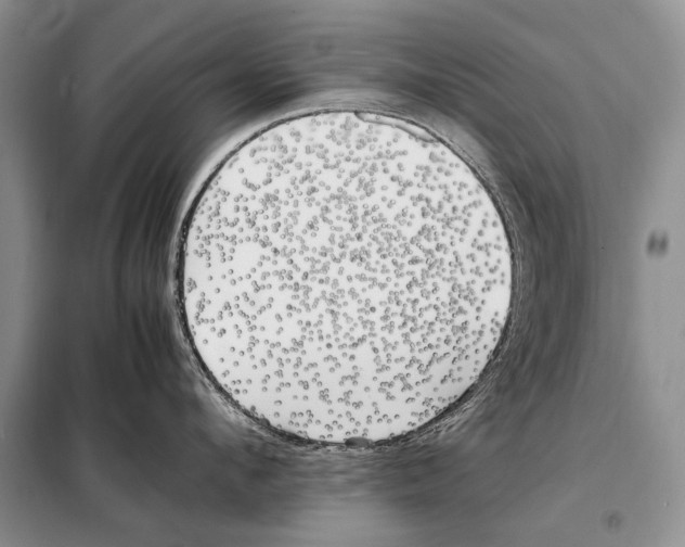 X0000098080912200805021018