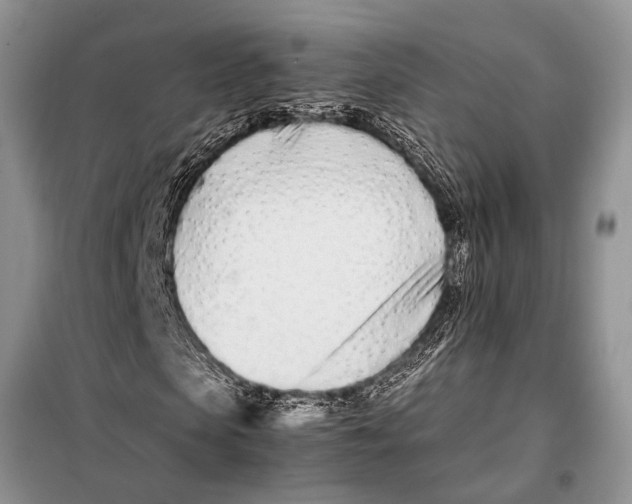X0000098080913200805021018