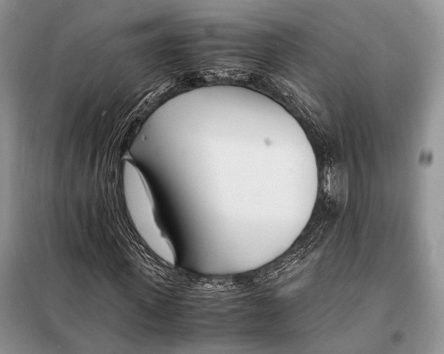 X0000098080915200805021018