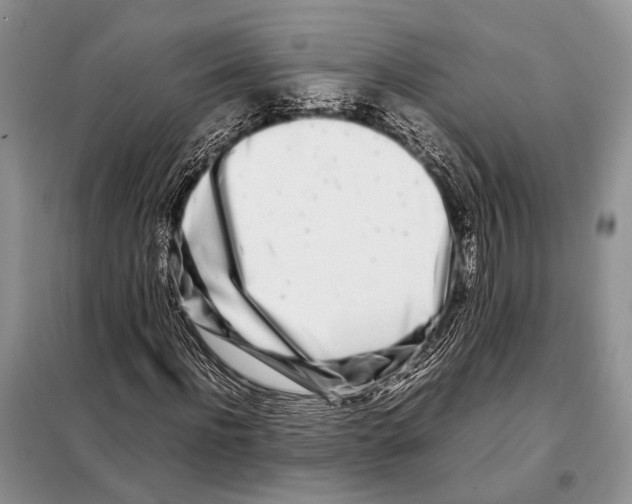 X0000098080916200805021018