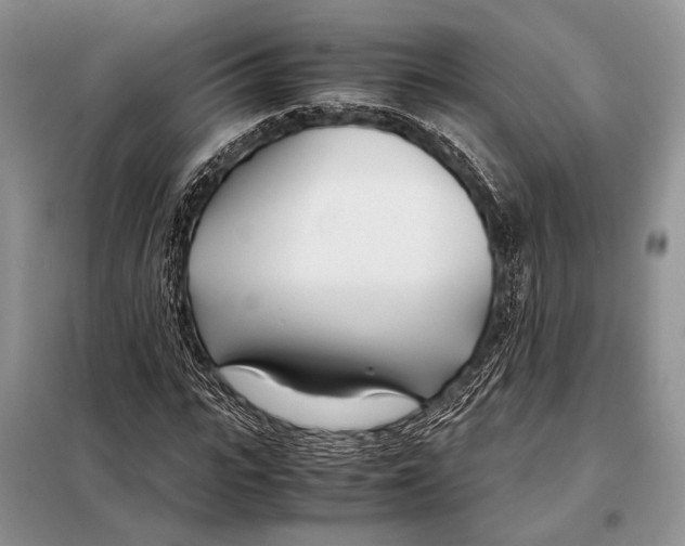 X0000098080919200805021018