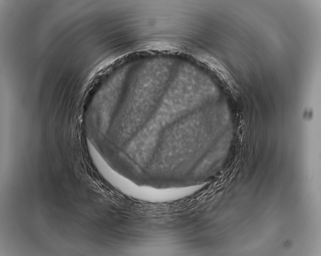 X0000098080920200805021018