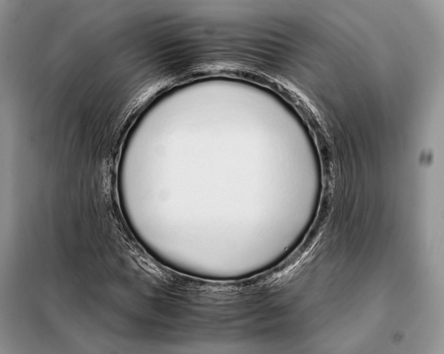 X0000098080921200805021018