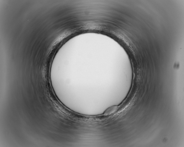 X0000098080922200805021018