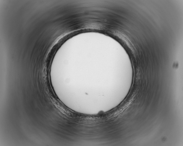 X0000098080923200805021018