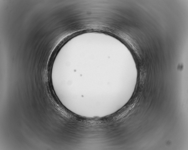 X0000098080924200805021018