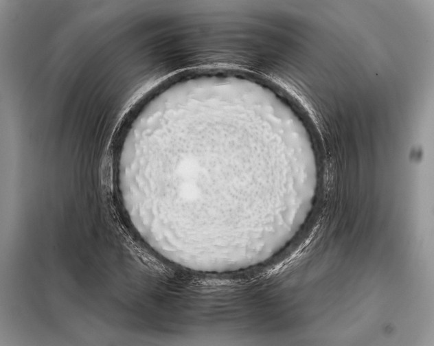 X0000098080925200805021018